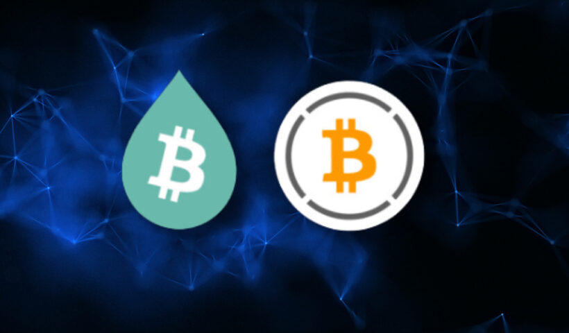 compared liquid and wrapped btc